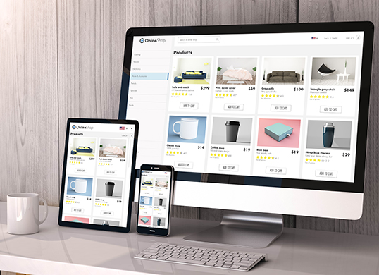 Best eCommerce Website Development Company in Chennai, India